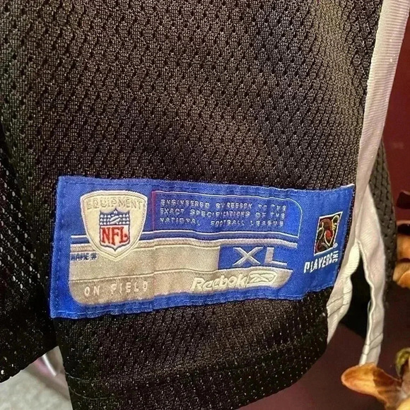 Cincinnati Bengals Carson Palmer #9 NFL Reebok Men’s XL Jersey - Picture 2 of 12